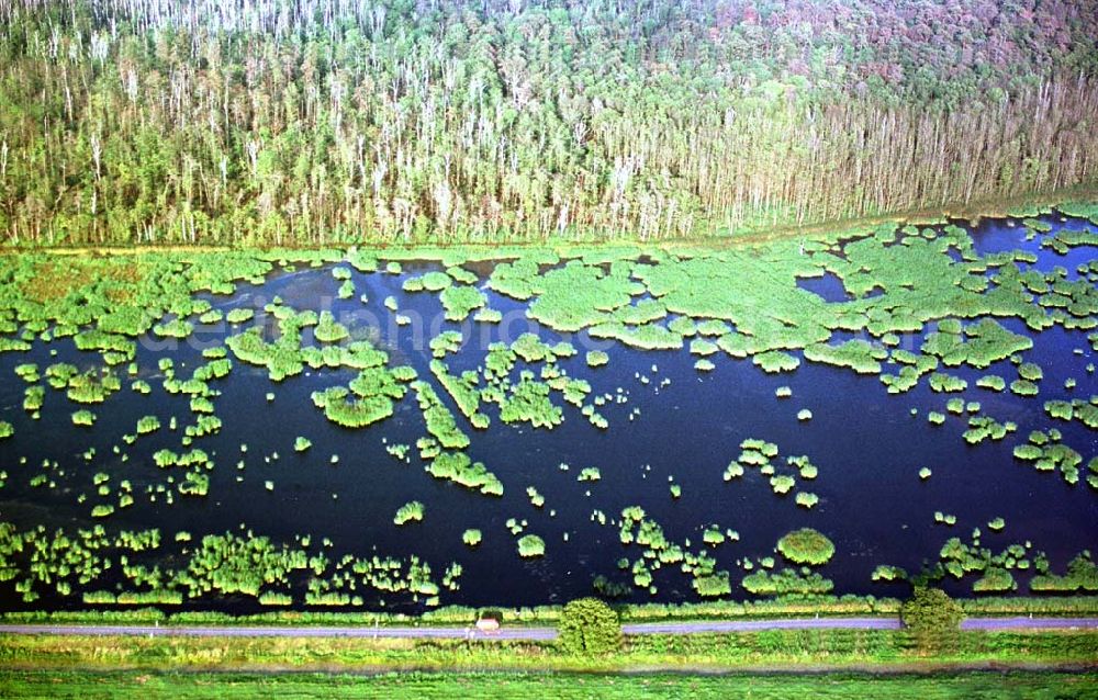 westlich von Zecherin auf Usedom in MV from the bird's eye view: 