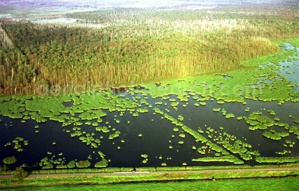 Aerial image westlich von Zecherin auf Usedom in MV - 