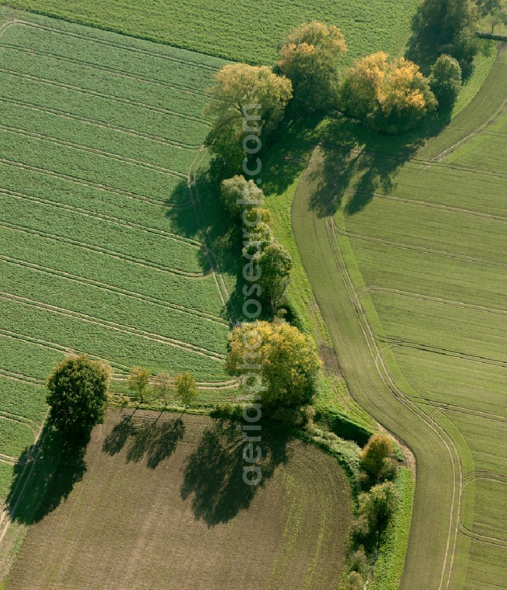 Hamm from the bird's eye view: Nature reserve Lippewiesen at Hamm in North Rhine-Westphalia