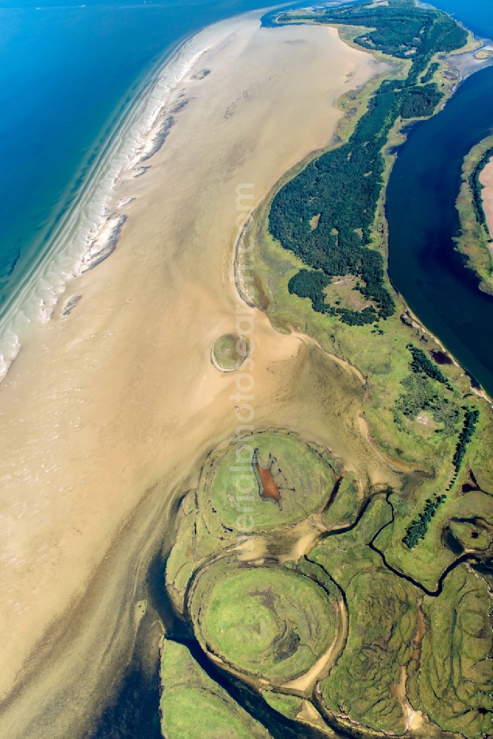 Insel Hiddensee from the bird's eye view: Nature reserve and beach landscape sand dunes along the Baltic Coast Bock in Mecklenburg - Western Pomerania