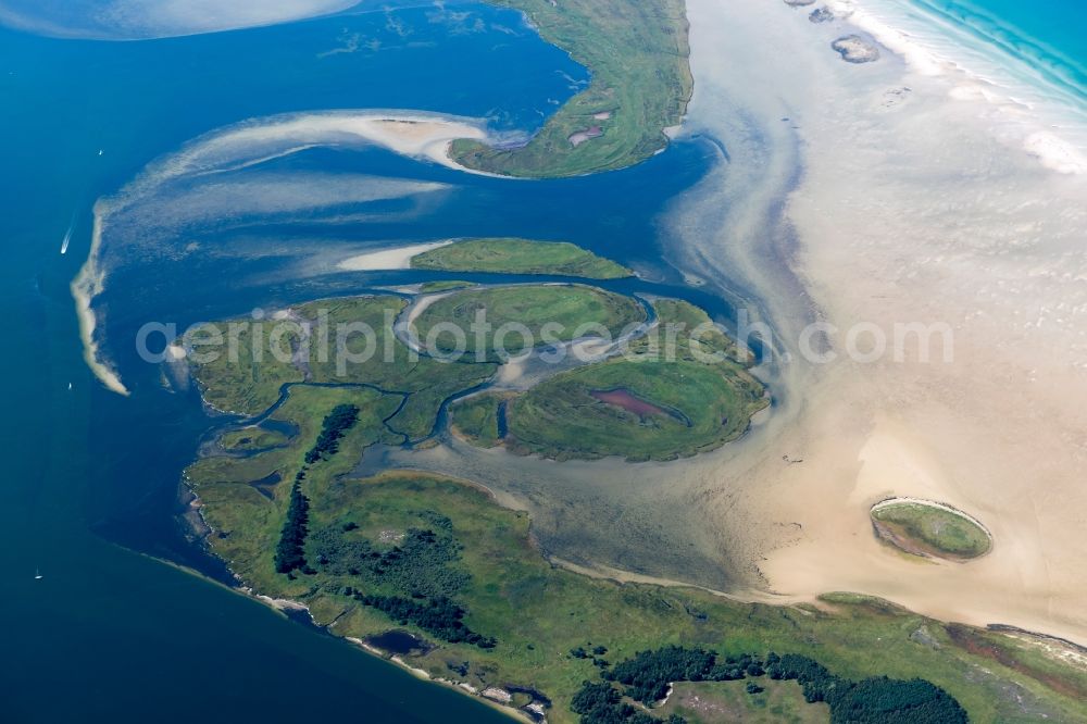 Insel Hiddensee from the bird's eye view: Nature reserve and beach landscape sand dunes along the Baltic Coast Bock in Mecklenburg - Western Pomerania