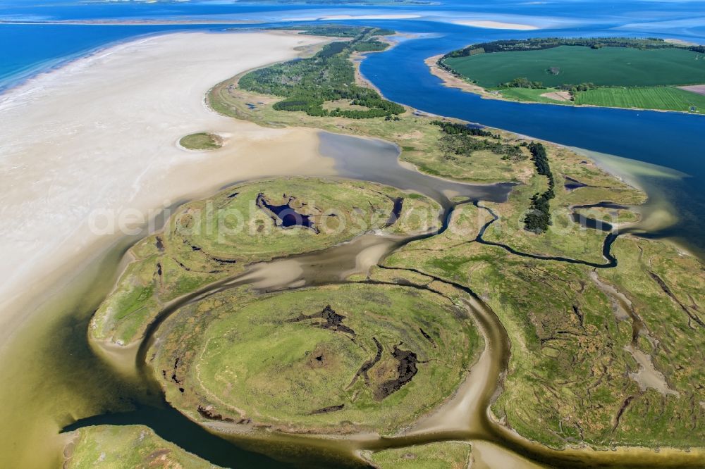 hiddensee from the bird's eye view: Nature reserve and beach landscape sand dunes along the Baltic Coast Bock in Mecklenburg - Western Pomerania