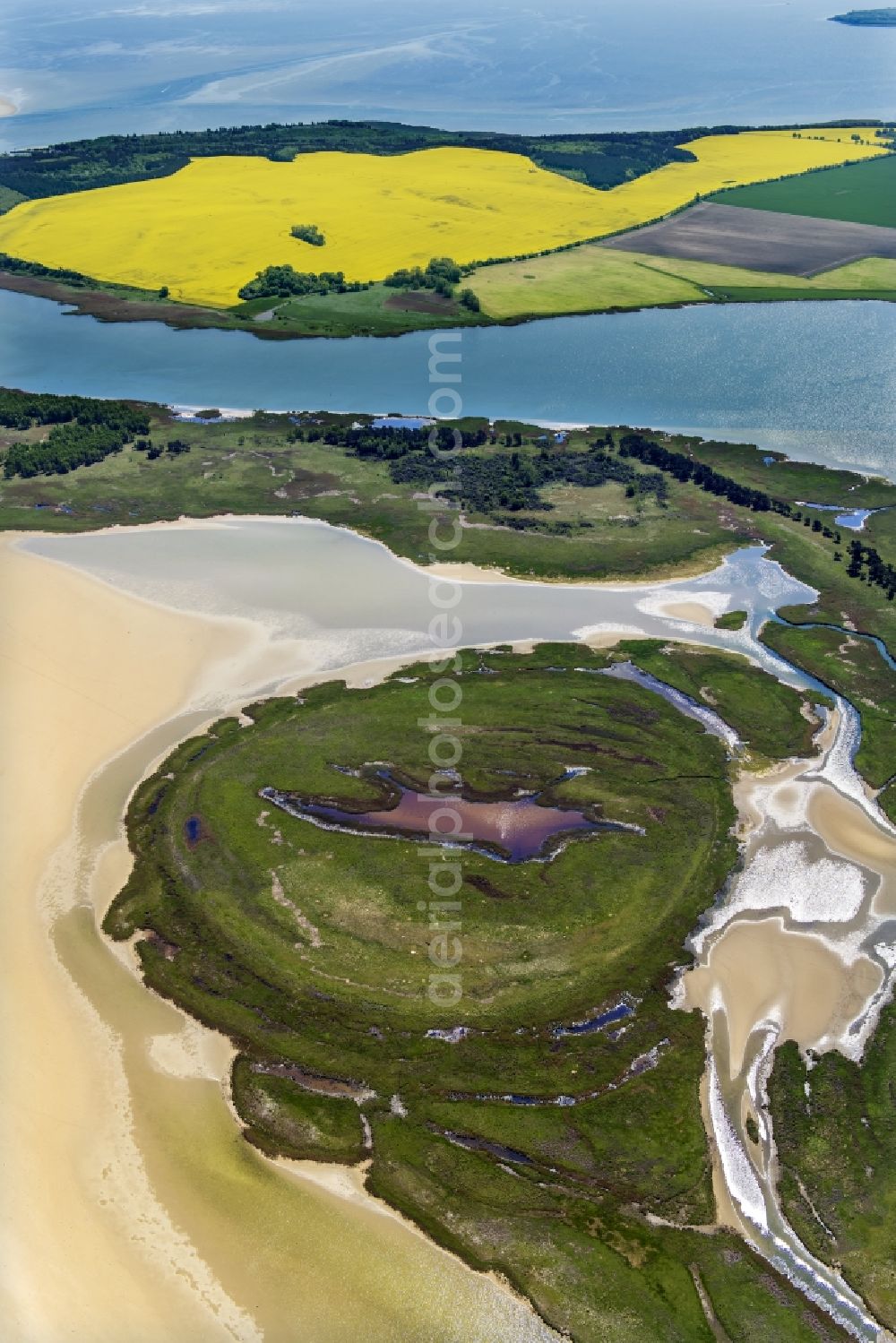 Insel Hiddensee from above - Nature reserve and beach landscape sand dunes along the Baltic Coast Bock in Mecklenburg - Western Pomerania