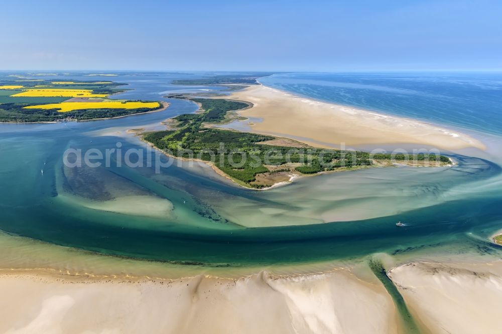 Insel Hiddensee from the bird's eye view: Nature reserve and beach landscape sand dunes along the Baltic Coast Bock in Mecklenburg - Western Pomerania