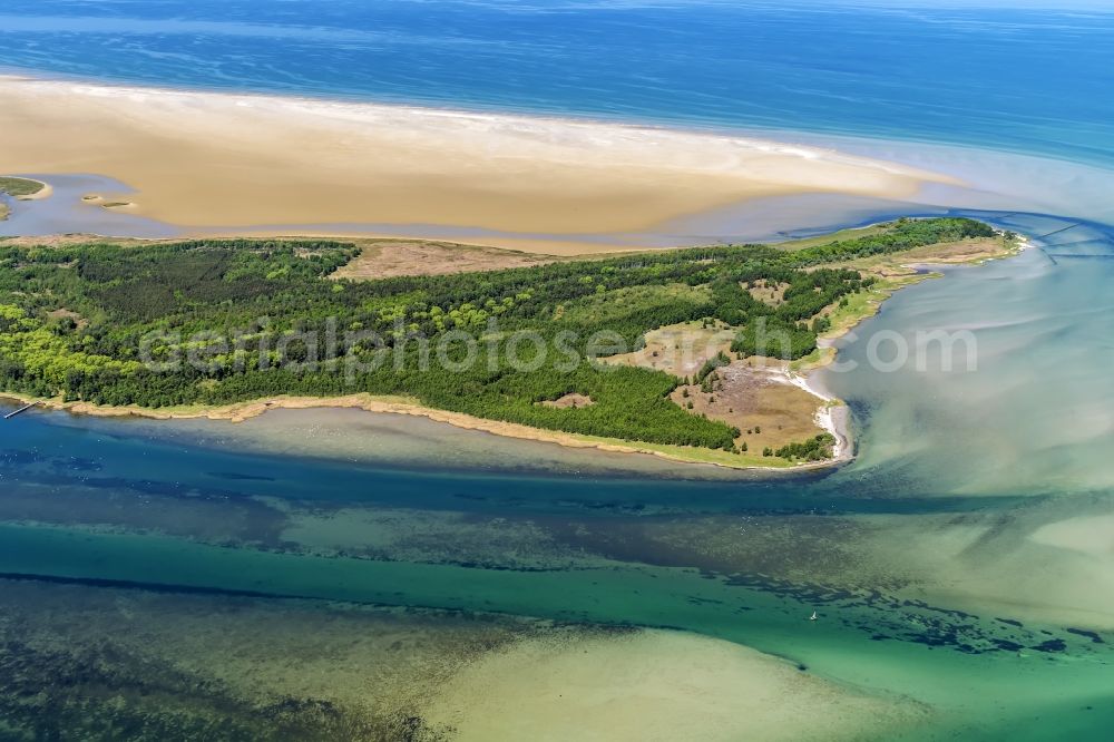 Aerial photograph Insel Hiddensee - Nature reserve and beach landscape sand dunes along the Baltic Coast Bock in Mecklenburg - Western Pomerania