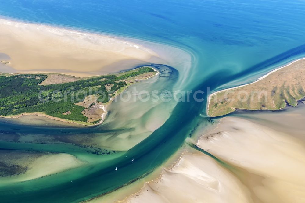 Insel Hiddensee from the bird's eye view: Nature reserve and beach landscape sand dunes along the Baltic Coast Bock in Mecklenburg - Western Pomerania