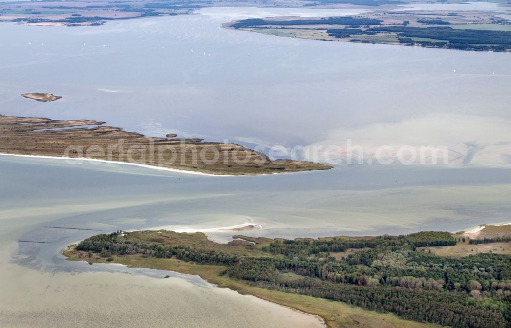 Insel Hiddensee from the bird's eye view: Nature reserve and beach landscape sand dunes along the Baltic Coast Bock in Mecklenburg - Western Pomerania