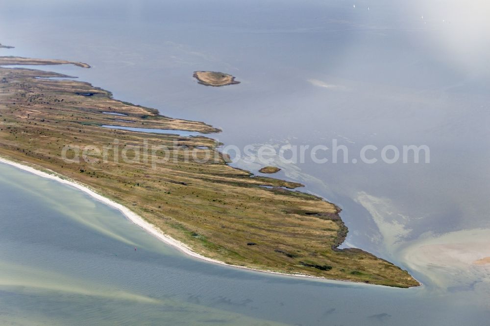 Aerial photograph Insel Hiddensee - Nature reserve and beach landscape sand dunes along the Baltic Coast Bock in Mecklenburg - Western Pomerania