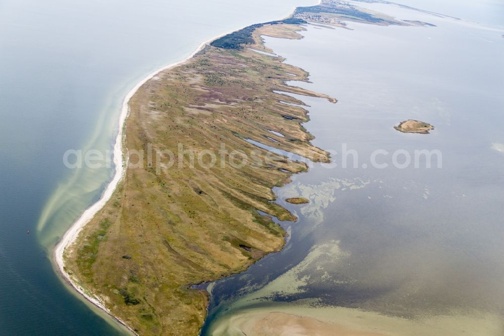 Aerial photograph Insel Hiddensee - Nature reserve and beach landscape sand dunes along the Baltic Coast Bock in Mecklenburg - Western Pomerania