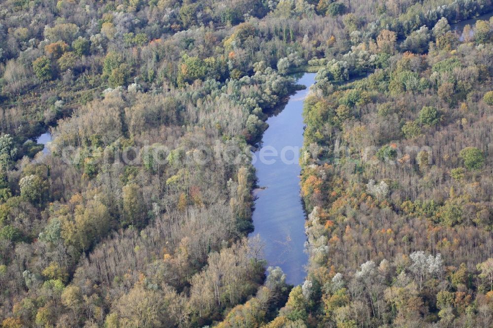 Rheinau from the bird's eye view: The Taubergiessen is a nature reserve with floodplains and channels of the river Rhine at Rheinau in Baden-Wuerttemberg