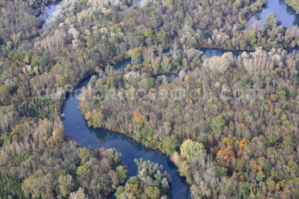 Aerial photograph Rheinau - The Taubergiessen is a nature reserve with floodplains and channels of the river Rhine at Rheinau in Baden-Wuerttemberg