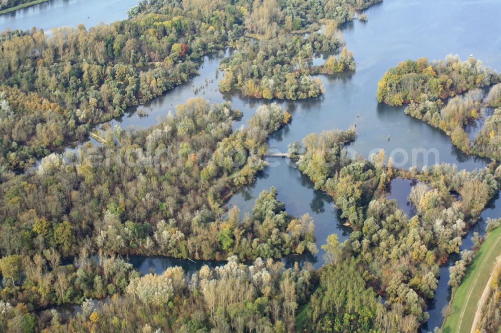 Rheinau from above - The Taubergiessen is a nature reserve with floodplains and channels of the river Rhine at Rheinau in Baden-Wuerttemberg