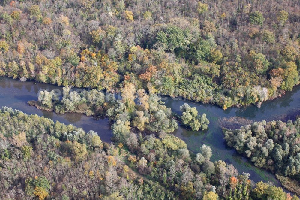 Rheinau from the bird's eye view: The Taubergiessen is a nature reserve with floodplains and channels of the river Rhine at Rheinau in Baden-Wuerttemberg