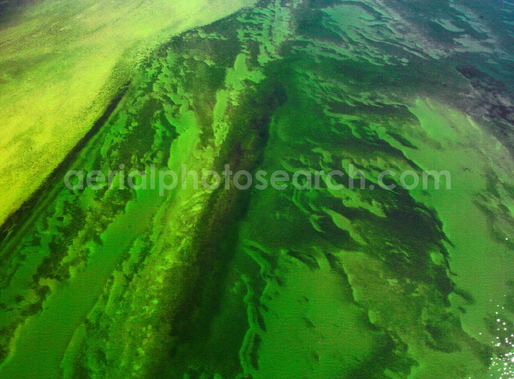 Aerial image Waren / Müritz - ature reserve Müritz National Park on the banks of the Müritz