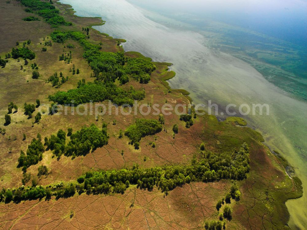 Aerial photograph Waren / Müritz - ature reserve Müritz National Park on the banks of the Müritz