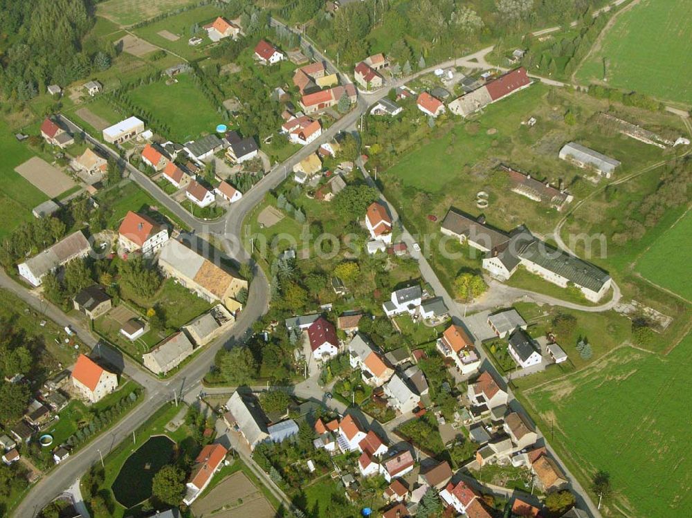 Aerial photograph Sornzig-Ablaß - Ein Ortsteil von Sornzig-Ablaß ist Nebitzschen. Der alte Dorfkern liegt nördlich der Döllnitz und wird durch einige Bauernhöfe geprägt.