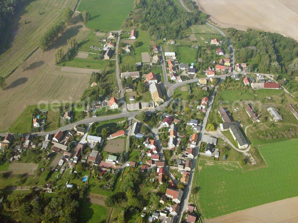 Sornzig-Ablaß from above - Ein Ortsteil von Sornzig-Ablaß ist Nebitzschen. Der alte Dorfkern liegt nördlich der Döllnitz und wird durch einige Bauernhöfe geprägt.