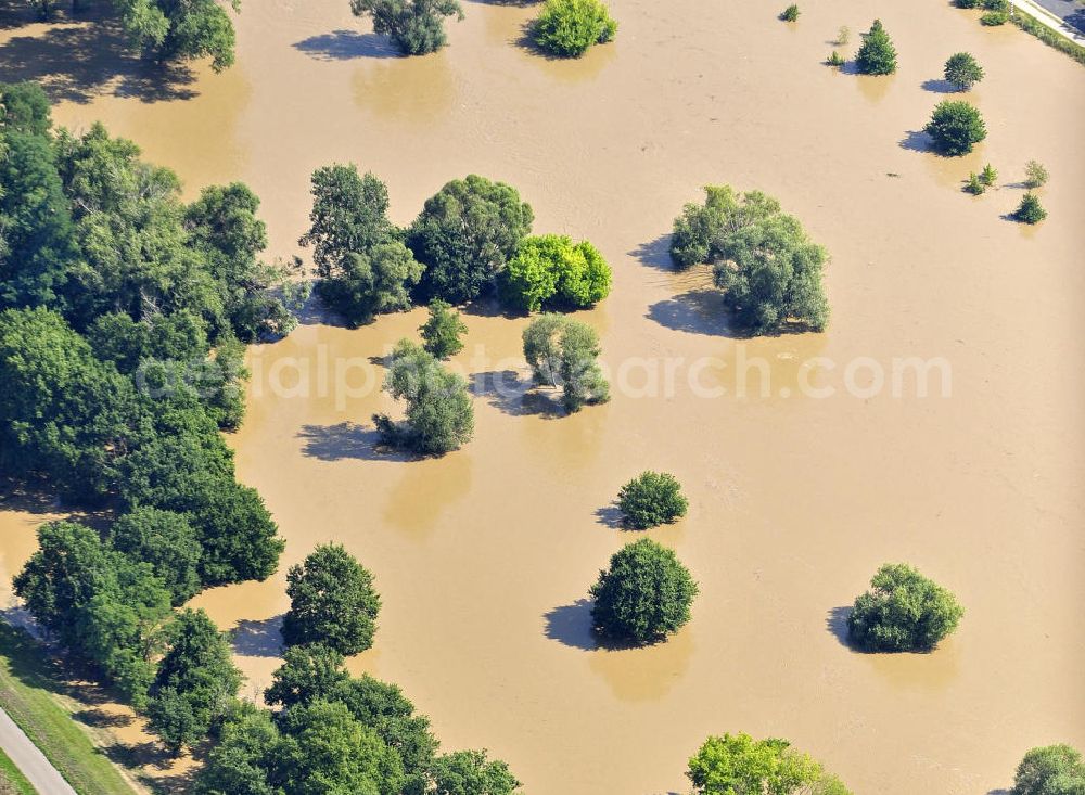 Aerial image Guben - Blick auf das Hochwasser der Neiße nördlich von Guben. View of the flood of the Neisse River north of Guben.