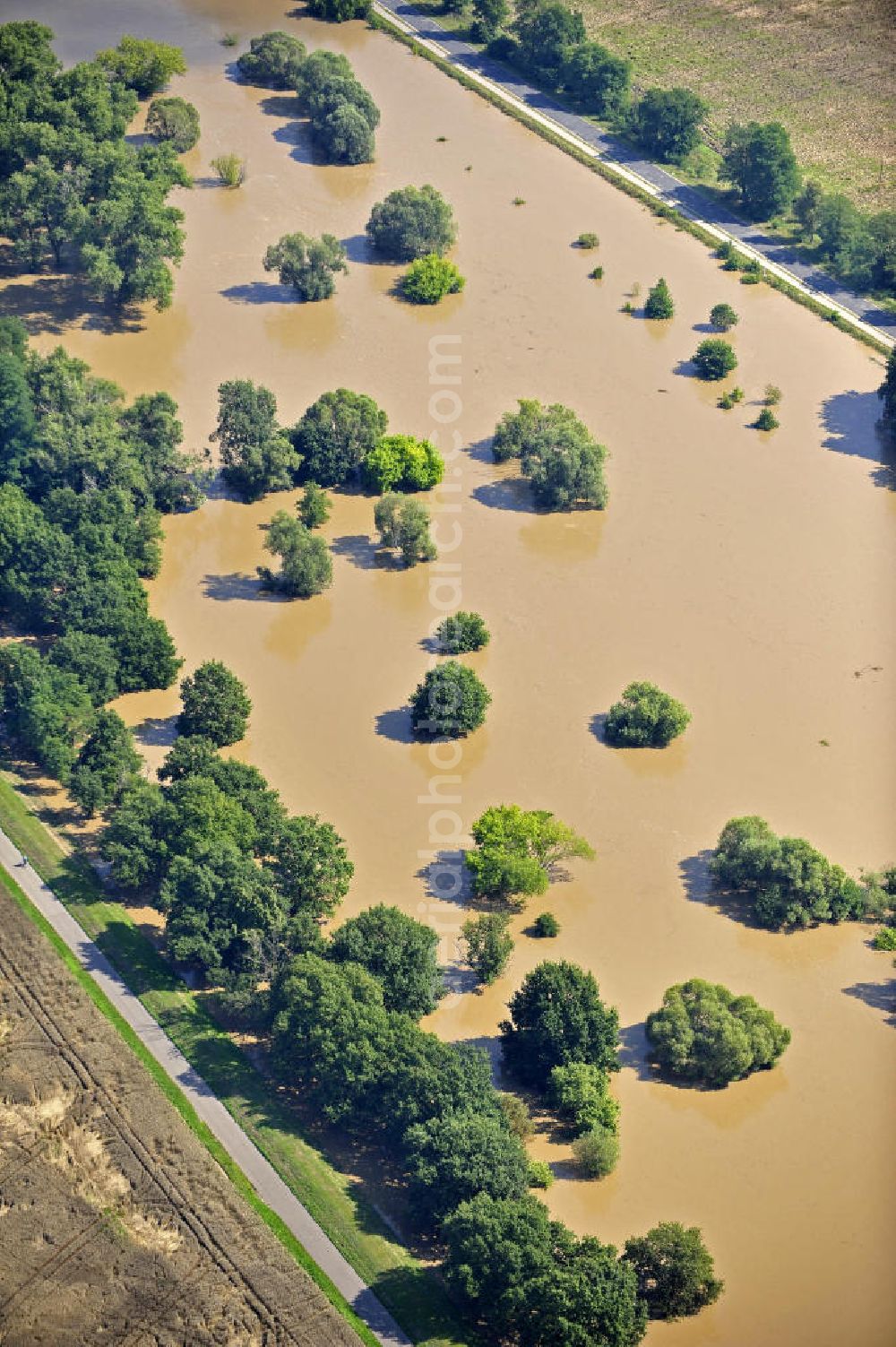 Aerial photograph Guben - Blick auf das Hochwasser der Neiße nördlich von Guben. View of the flood of the Neisse River north of Guben.