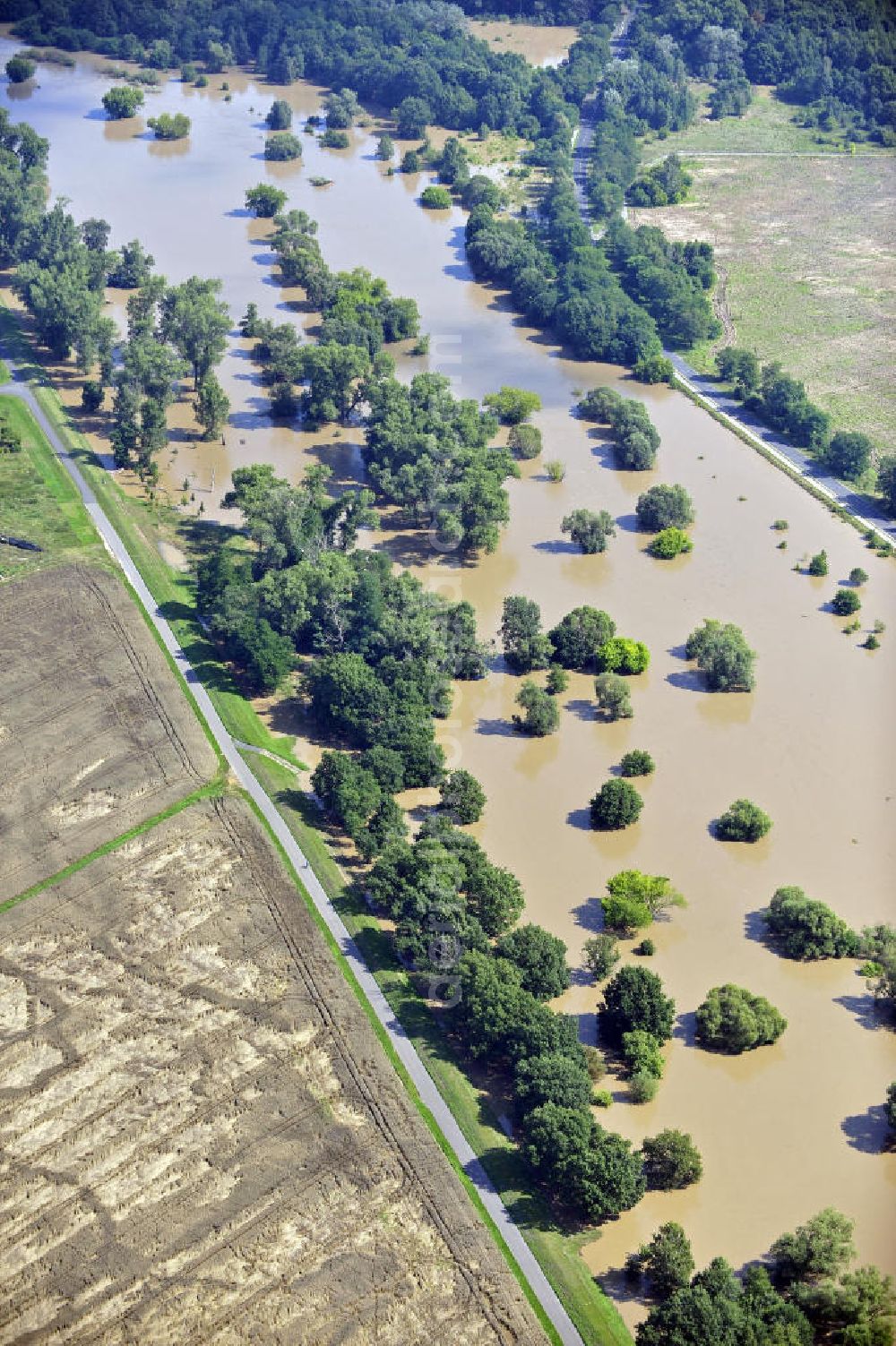 Guben from the bird's eye view: Blick auf das Hochwasser der Neiße nördlich von Guben. View of the flood of the Neisse River north of Guben.