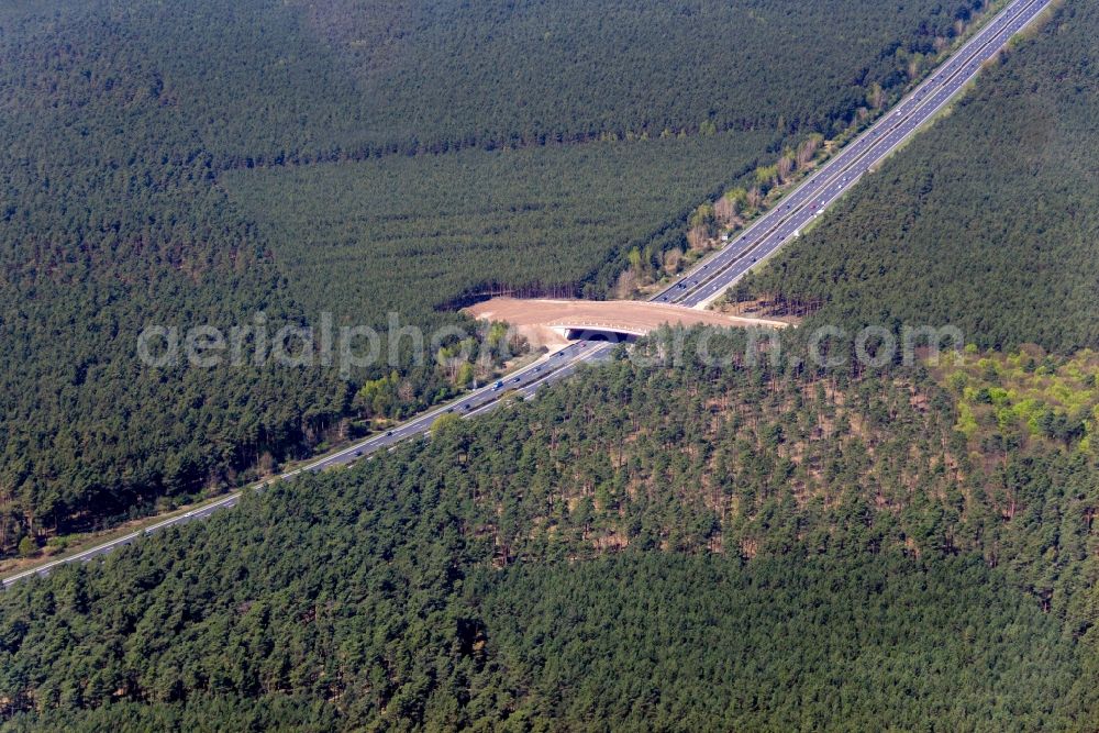 Beelitz from above - Construction site of highway bridge structure applied as a wildlife crossing bridge Wild - Wild swap the BAB A 9 through the ARIKON BAU AG in Beelitz in the state Brandenburg, Germany