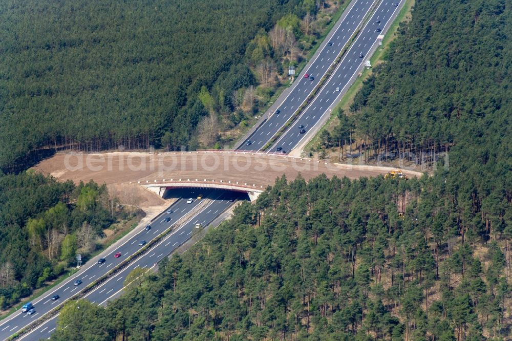 Beelitz from the bird's eye view: Construction site of highway bridge structure applied as a wildlife crossing bridge Wild - Wild swap the BAB A 9 through the ARIKON BAU AG in Beelitz in the state Brandenburg, Germany