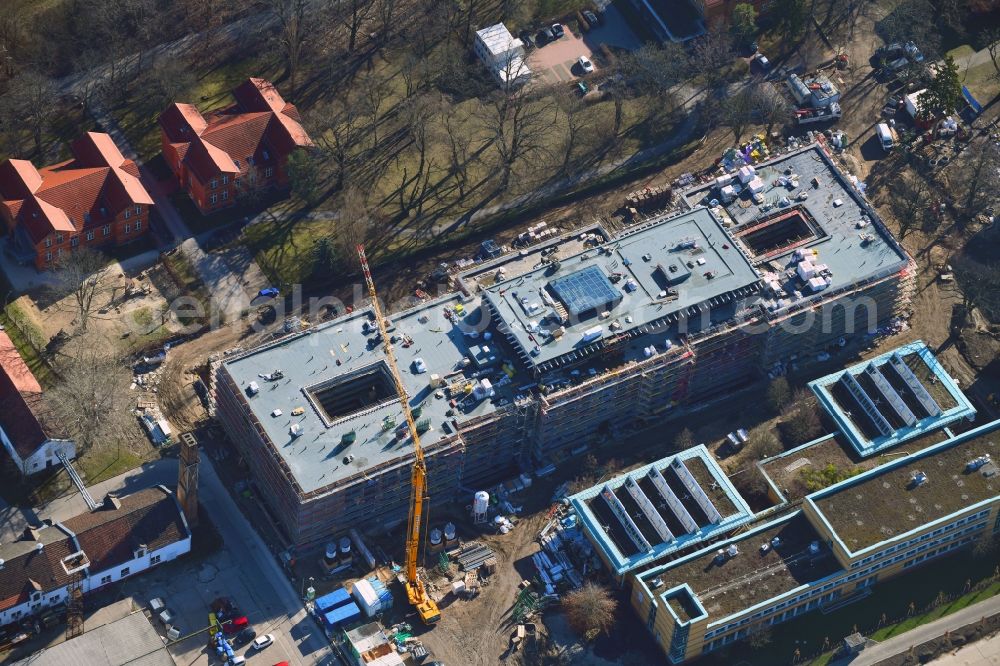 Aerial photograph Berlin - New construction site for a rehabilitation center of the rehabilitation clinic of BG Klinikum Unfallkrankenhaus Berlin gGmbH in the district Marzahn in Berlin, Germany