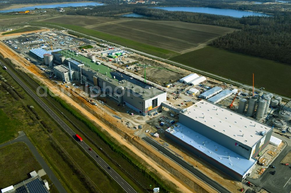 Aerial photograph Sandersdorf - New building - construction site on the paper factory premises of Progroup AG in Sandersdorf in the state Saxony-Anhalt, Germany