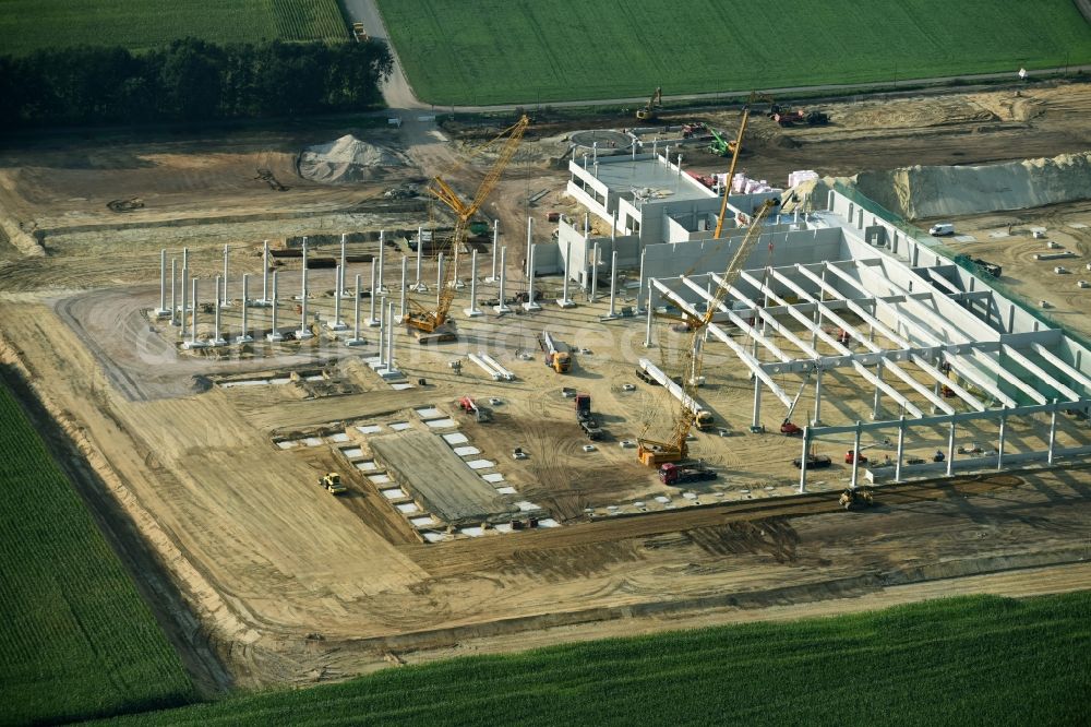 Aerial image Cloppenburg - Construction site for the new building Lidl- Central warehouse and logistics center at Brookweg in Cloppenburg in the state Lower Saxony