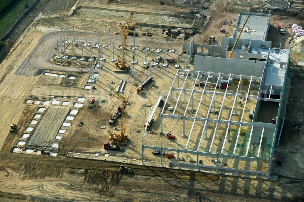 Aerial image Cloppenburg - Construction site for the new building Lidl- Central warehouse and logistics center at Brookweg in Cloppenburg in the state Lower Saxony