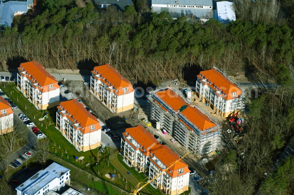 Aerial image Potsdam - New construction of the apartment building Residenz Steinstrasse in the district Stern in Potsdam in the state Brandenburg, Germany