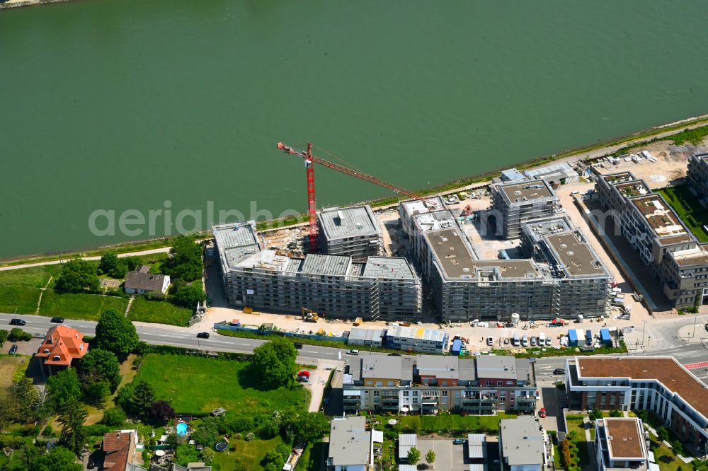 Speyer from the bird's eye view: Construction site to build a new multi-family residential complex Wohnviertel on Fluss on street Alte Ziegelei on rhine river in Speyer in the state Rhineland-Palatinate, Germany