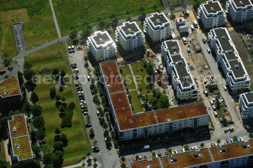 Berlin from the bird's eye view: New multi-family residential complex between Hasenholzer Allee and the Wiesenpark in the district Marzahn in Berlin