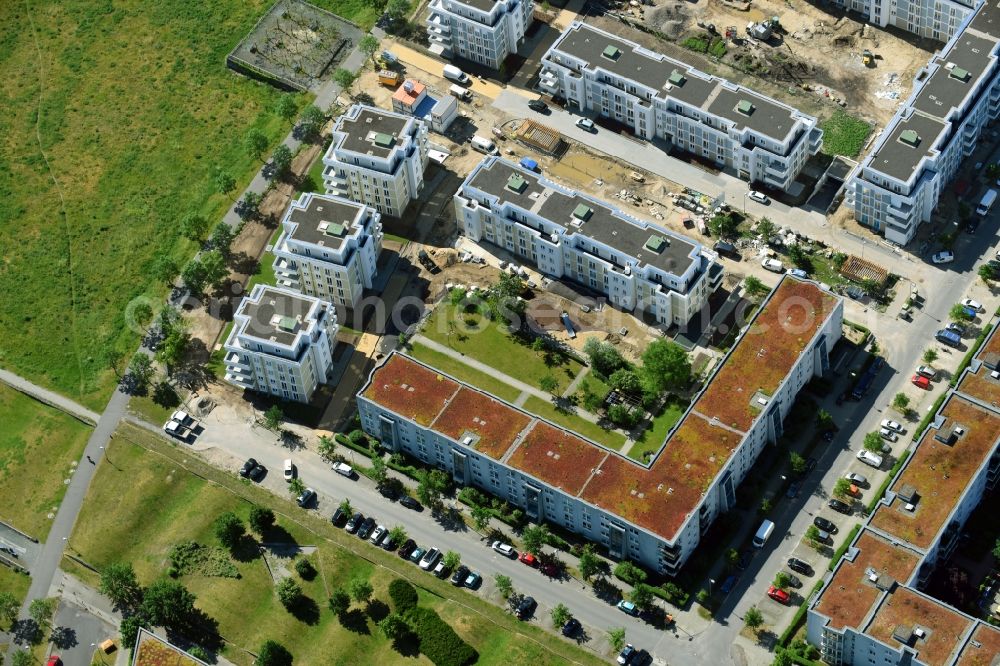 Aerial photograph Berlin - New multi-family residential complex between Hasenholzer Allee and the Wiesenpark in the district Marzahn in Berlin