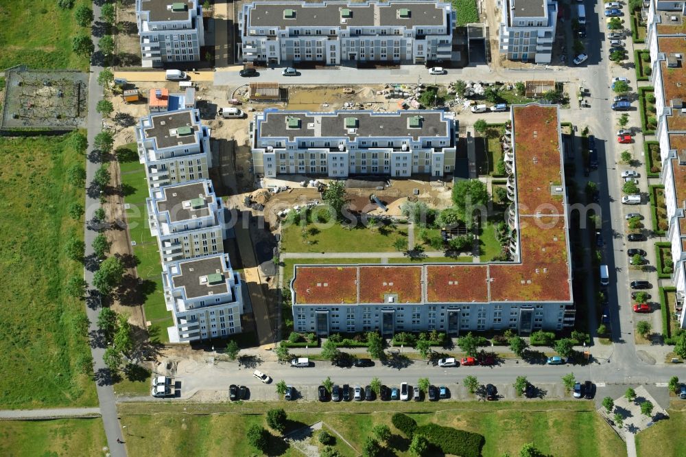 Berlin from above - New multi-family residential complex between Hasenholzer Allee and the Wiesenpark in the district Marzahn in Berlin