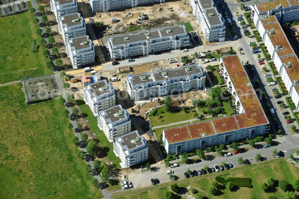 Berlin from the bird's eye view: New multi-family residential complex between Hasenholzer Allee and the Wiesenpark in the district Marzahn in Berlin