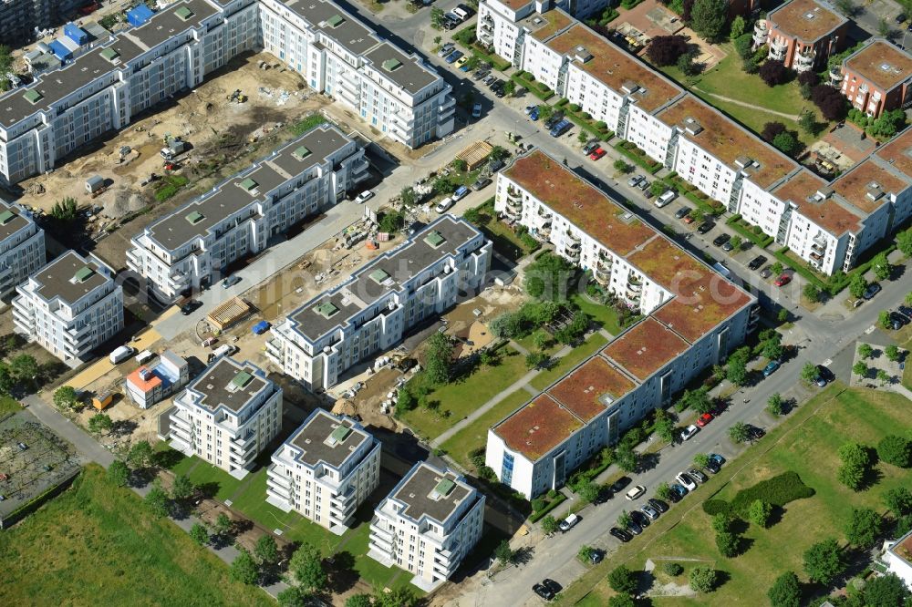 Aerial image Berlin - New multi-family residential complex between Hasenholzer Allee and the Wiesenpark in the district Marzahn in Berlin