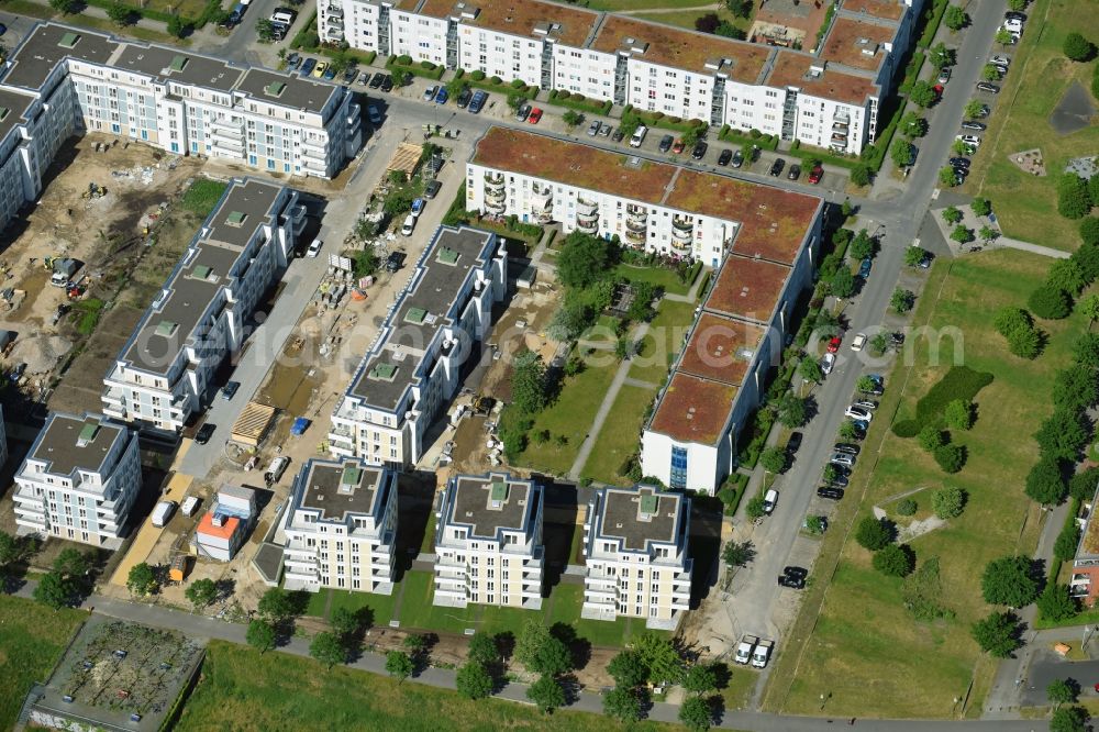 Aerial photograph Berlin - New multi-family residential complex between Hasenholzer Allee and the Wiesenpark in the district Marzahn in Berlin