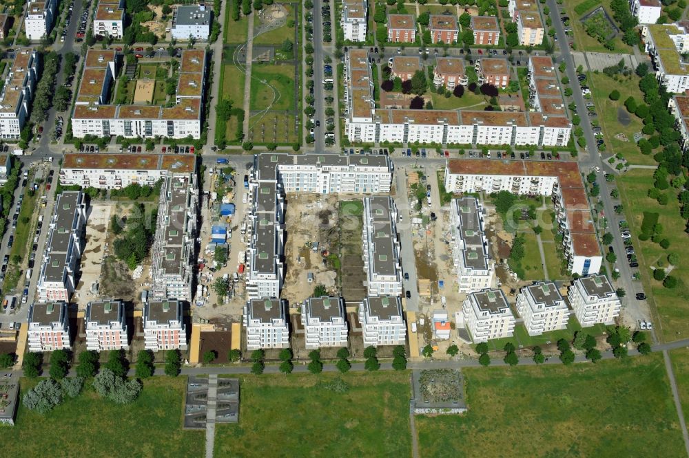 Berlin from the bird's eye view: New multi-family residential complex between Hasenholzer Allee and the Wiesenpark in the district Marzahn in Berlin