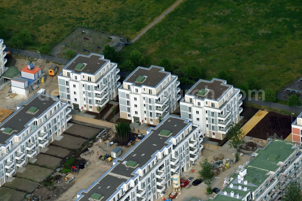 Berlin from the bird's eye view: New multi-family residential complex between Hasenholzer Allee and the Wiesenpark in the district Marzahn in Berlin