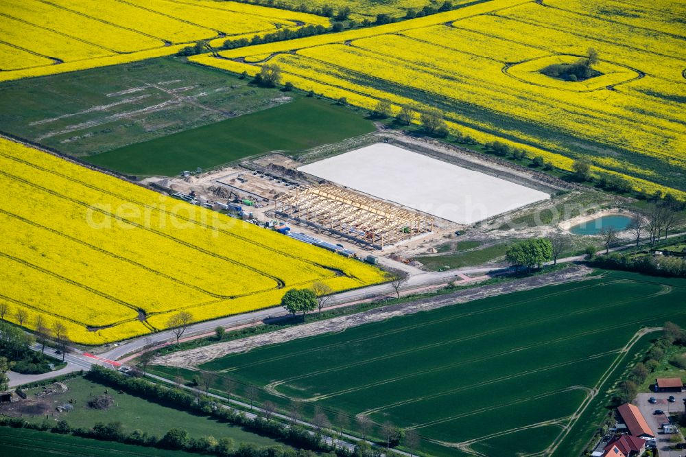 Aerial image Fehmarn - New construction of a riding facility.Field landscape of yellow blooming rapeseed flowers in Fehmarn in the state Schleswig-Holstein, Germany