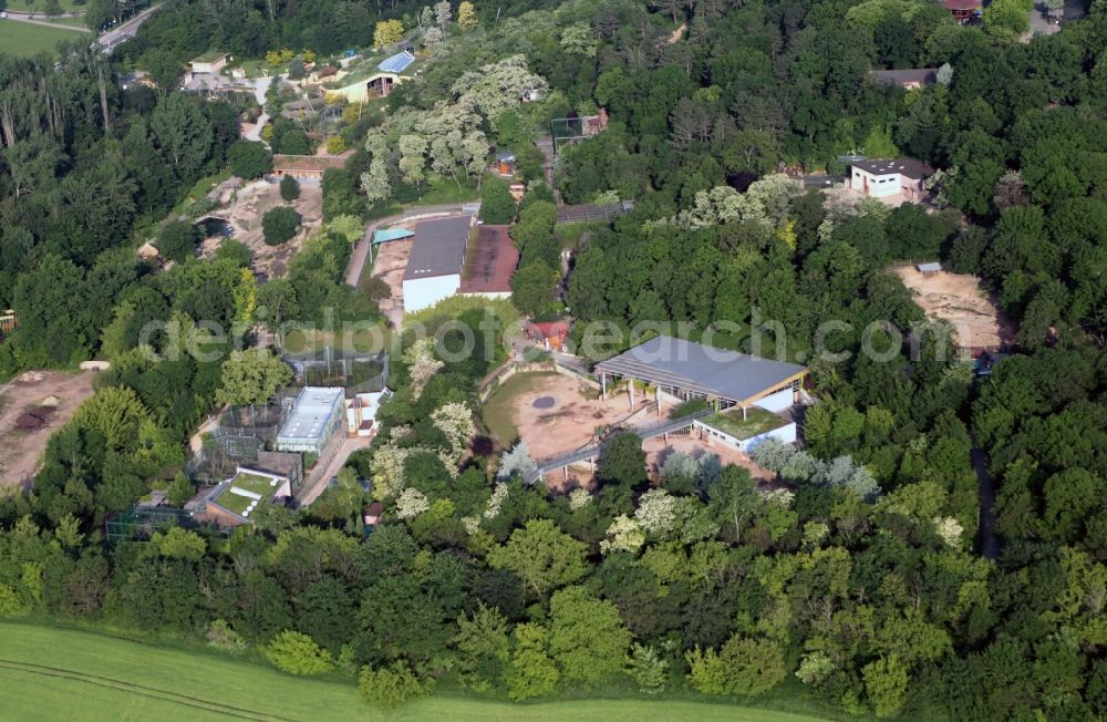 Aerial photograph Erfurt - An overview of the construction site of the new building of the elephant enclosure in the Thuringian zoo park. The Executing company is Riedel Bau