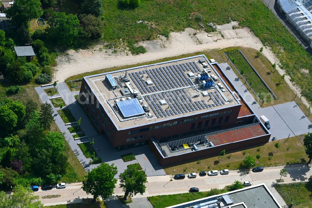 Berlin from the bird's eye view: New building TZR Tiermedizinisches Zentrum fuer Resistenzforschung in the district Zehlendorf in Berlin, Germany