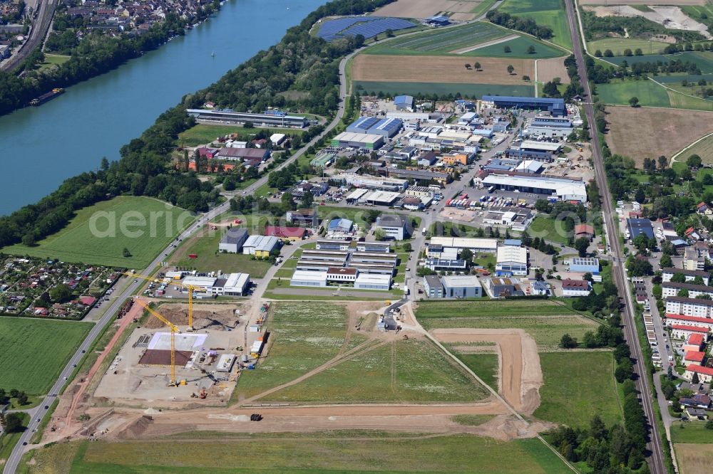 Aerial photograph Rheinfelden (Baden) - Earthworks for the company administration building of the Pharma Company Fisher Clinical Services in the industrial Area Sengern in the district Herten in Rheinfelden (Baden) in the state Baden-Wurttemberg, Germany