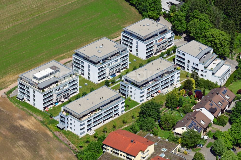 Aerial photograph Bad Säckingen - New residential complex Living at the Schoepfebach in Bad Saeckingen the state Baden-Wurttemberg