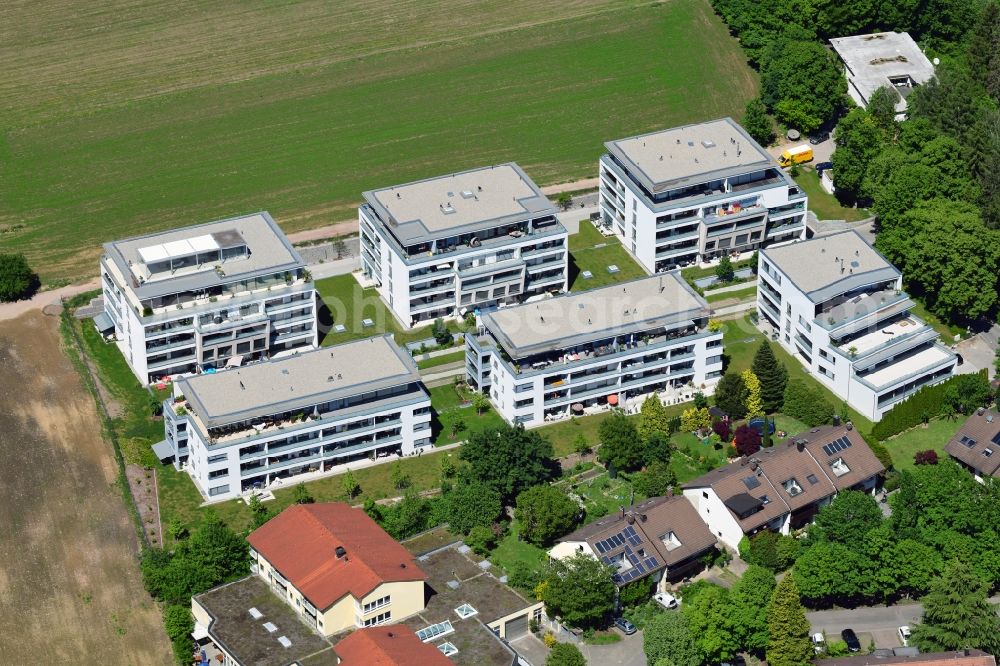 Bad Säckingen from above - New residential complex Living at the Schoepfebach in Bad Saeckingen the state Baden-Wurttemberg