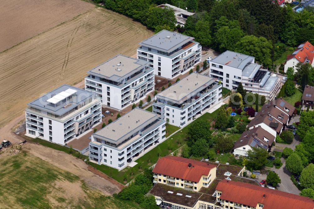 Bad Säckingen from above - New residential complex Living at the Schoepfebach in Bad Saeckingen the state Baden-Wurttemberg