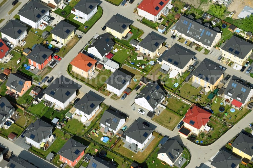 Berlin from the bird's eye view: Residential area of detached housing estate Theodorpark in the district Mahlsdorf in Berlin, Germany