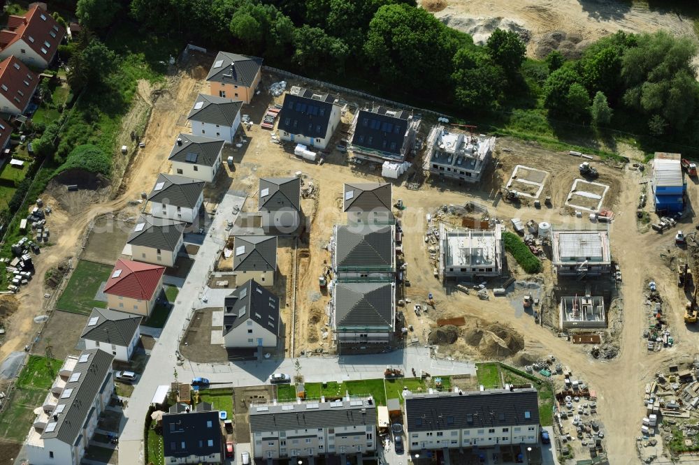 Berlin from the bird's eye view: Residential area of detached housing estate Theodorpark in the district Mahlsdorf in Berlin, Germany