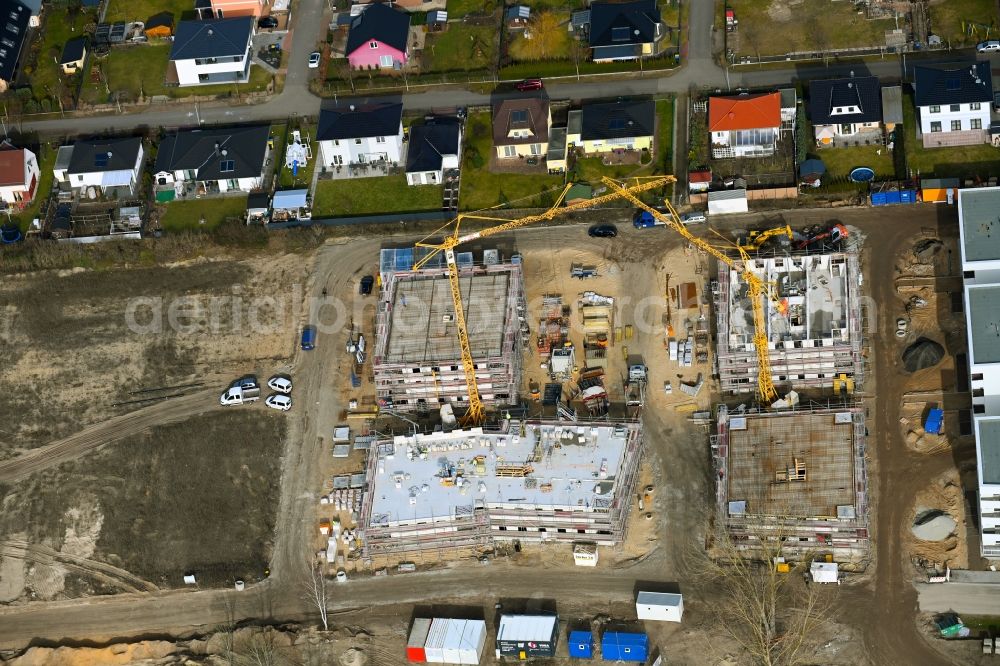 Aerial image Oranienburg - Residential area of the multi-family house settlement of Wohnungsbaugesellschaft mbH Oranienburg on Walther-Bothe-Strasse in Oranienburg in the state Brandenburg, Germany